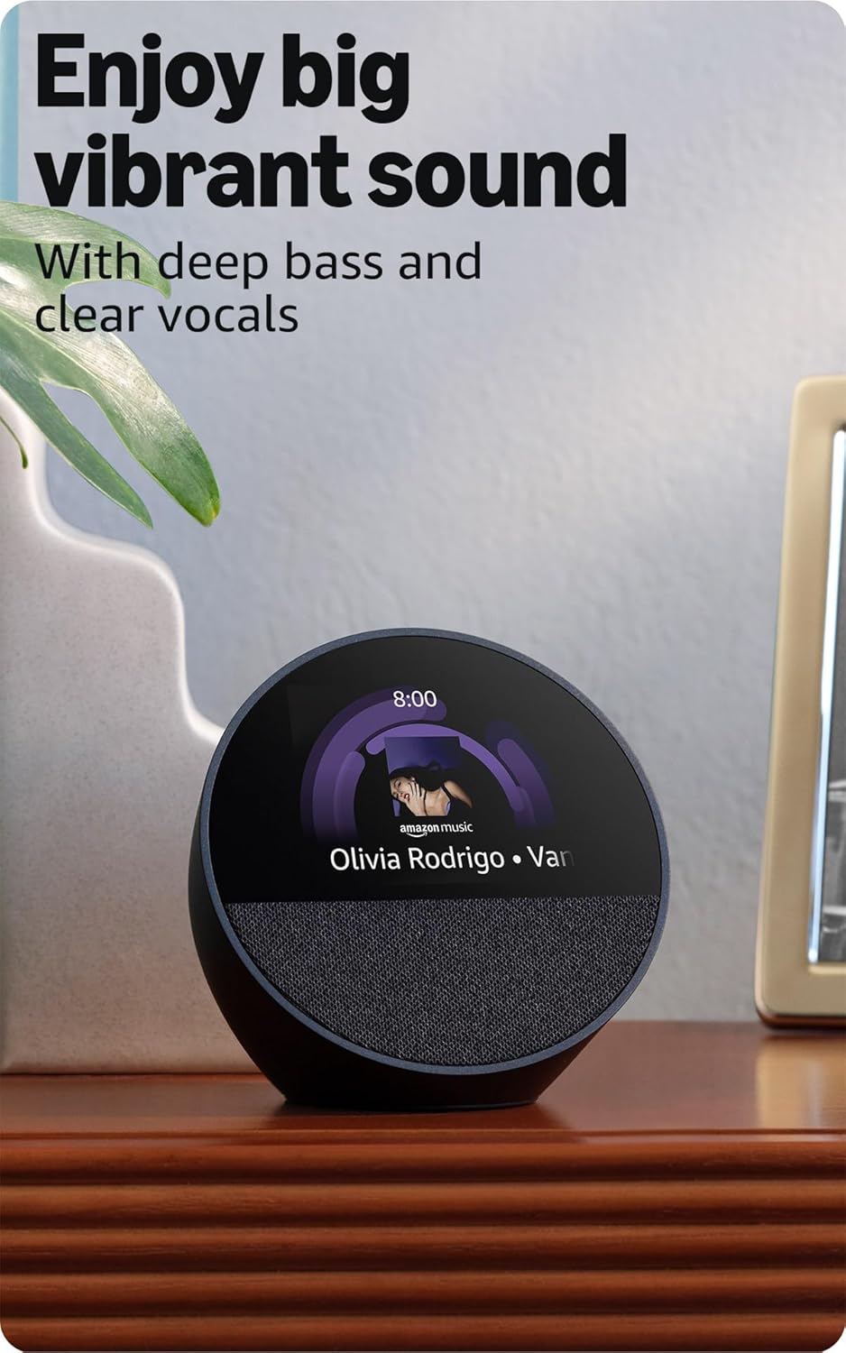 Echo Spot (newest model)