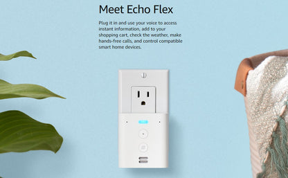 Echo Flex (Plug‑in)